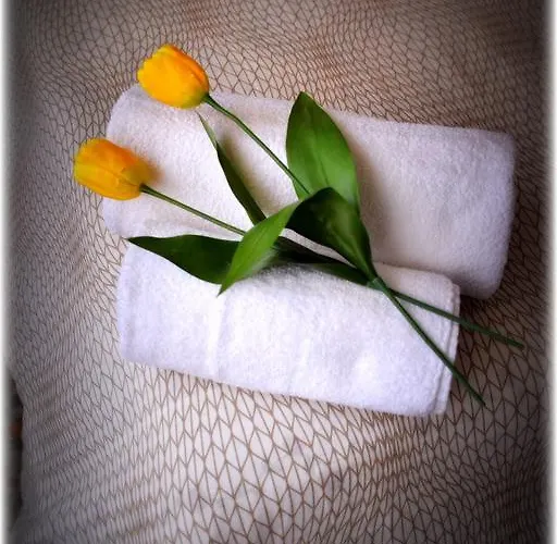 Πανσιόν Di Leo *